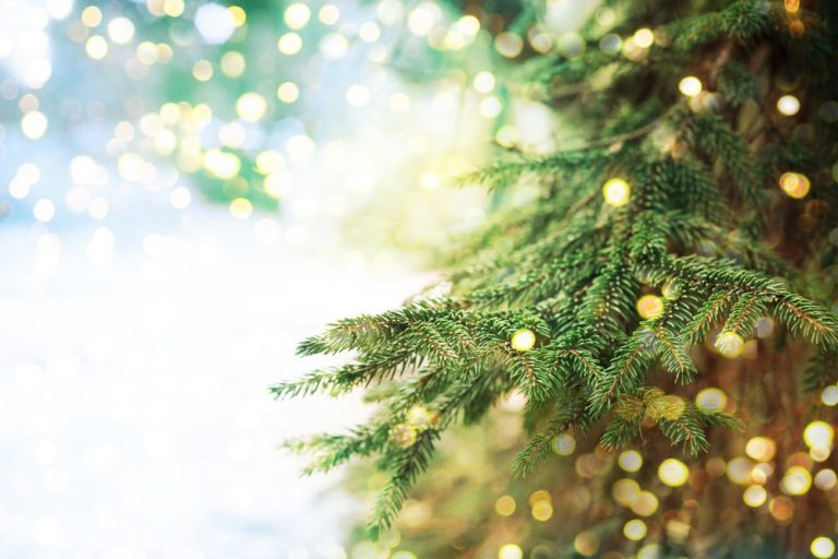 christmas tree with blurred lights in background